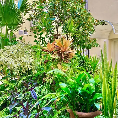 Apartment Side Heaven