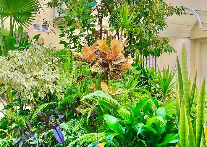 Apartment Side Heaven